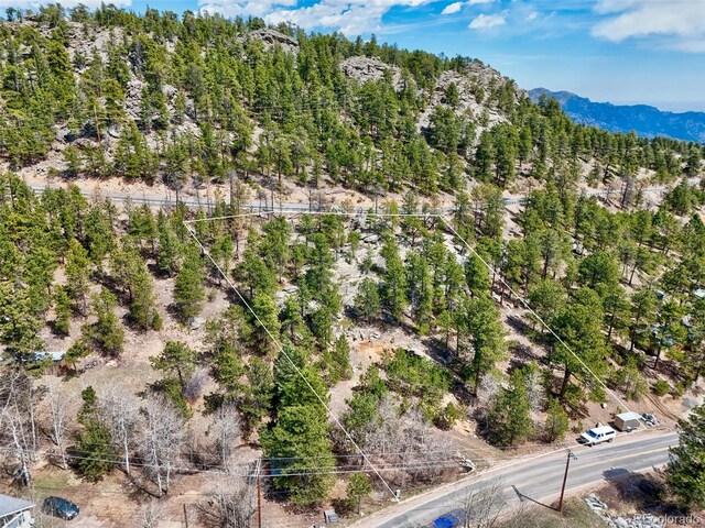 388 Copperdale Ln, Golden, CO 80403 - photo 13
