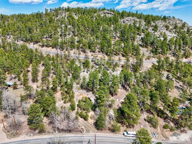 388 Copperdale Ln, Golden, CO 80403 - photo 15