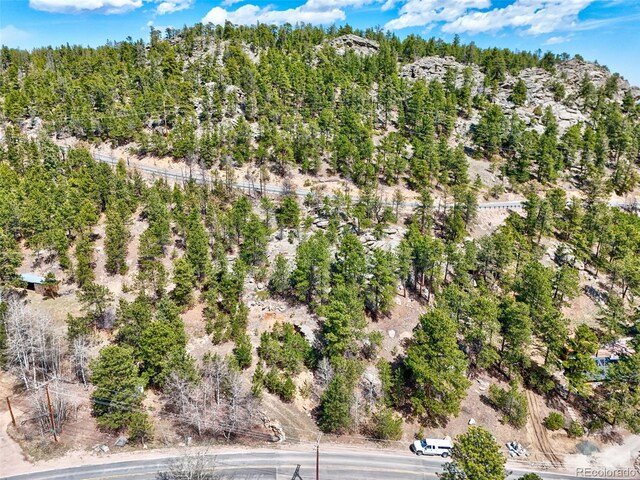 388 Copperdale Ln, Golden, CO 80403 - photo 16