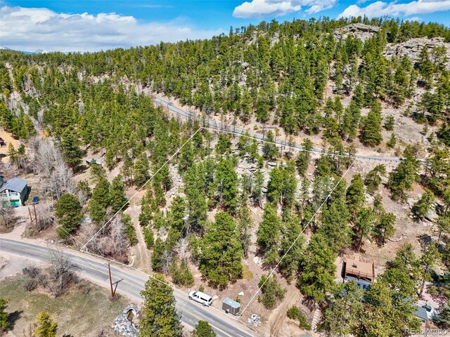 388 Copperdale Ln, Golden, CO 80403 - photo 17