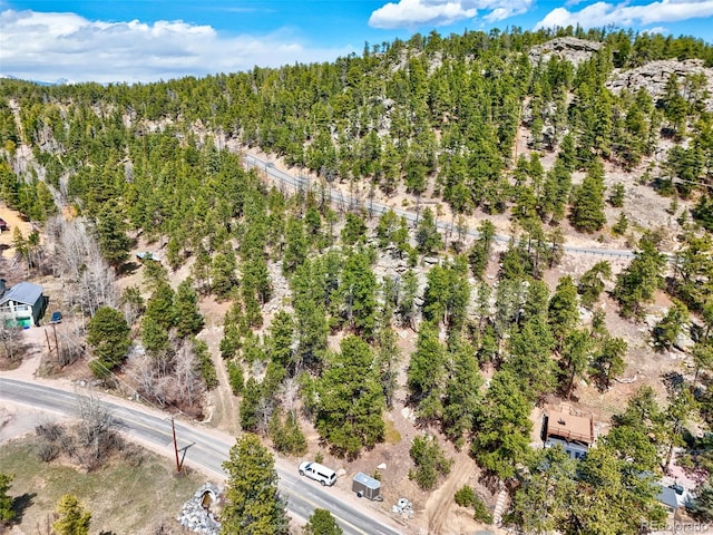 388 Copperdale Ln, Golden, CO 80403 - photo 18