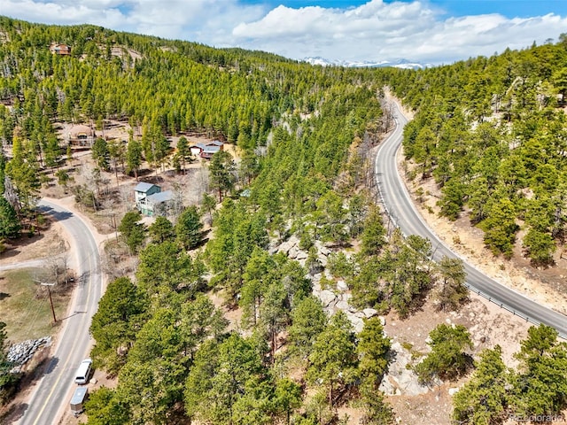 388 Copperdale Ln, Golden, CO 80403 - photo 20