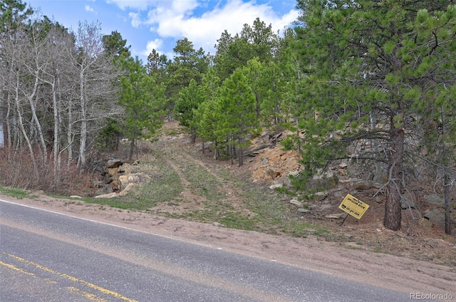 388 Copperdale Ln, Golden, CO 80403 - photo 22