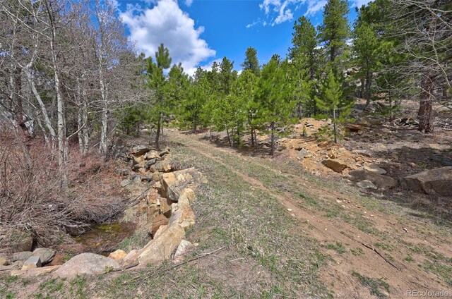 388 Copperdale Ln, Golden, CO 80403 - photo 24