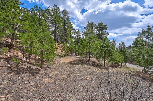 388 Copperdale Ln, Golden, CO 80403 - photo 25