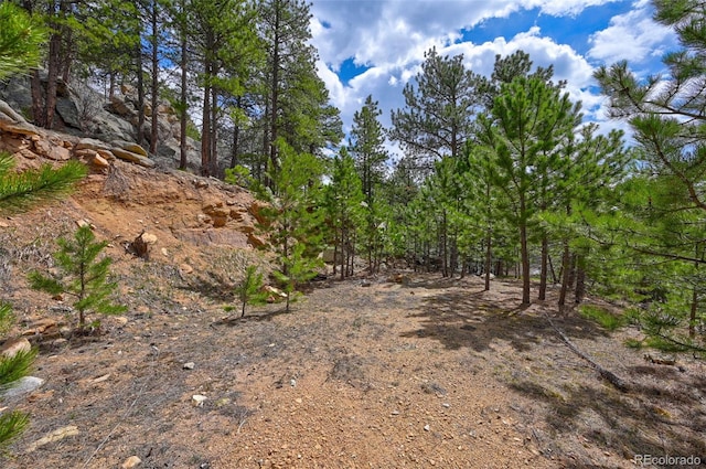 388 Copperdale Ln, Golden, CO 80403 - photo 27