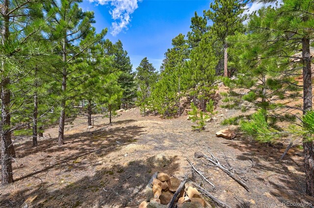 388 Copperdale Ln, Golden, CO 80403 - photo 28