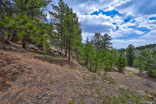 388 Copperdale Ln, Golden, CO 80403 - photo 29