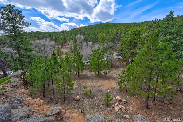 388 Copperdale Ln, Golden, CO 80403 - photo 31