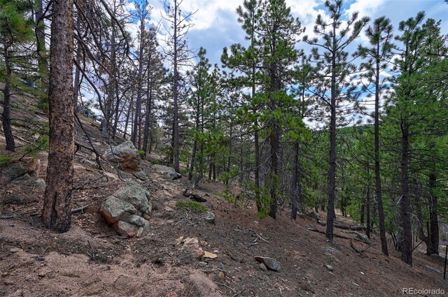 388 Copperdale Ln, Golden, CO 80403 - photo 32