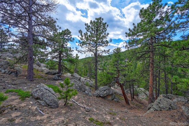388 Copperdale Ln, Golden, CO 80403 - photo 33