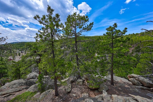 388 Copperdale Ln, Golden, CO 80403 - photo 34
