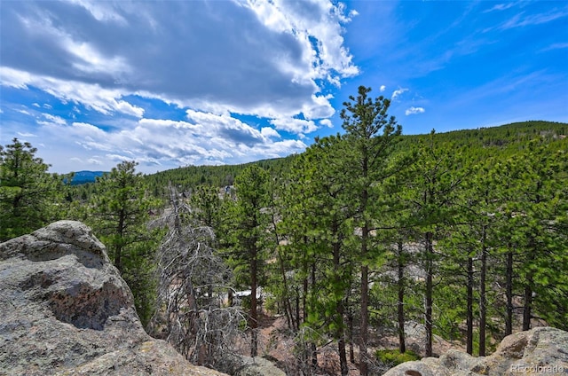 388 Copperdale Ln, Golden, CO 80403 - photo 35