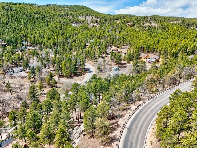 388 Copperdale Ln, Golden, CO 80403 - photo 36