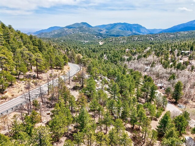 388 Copperdale Ln, Golden, CO 80403 - photo 37
