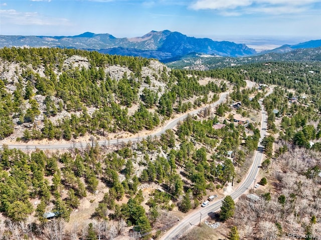 388 Copperdale Ln, Golden, CO 80403 - photo 38
