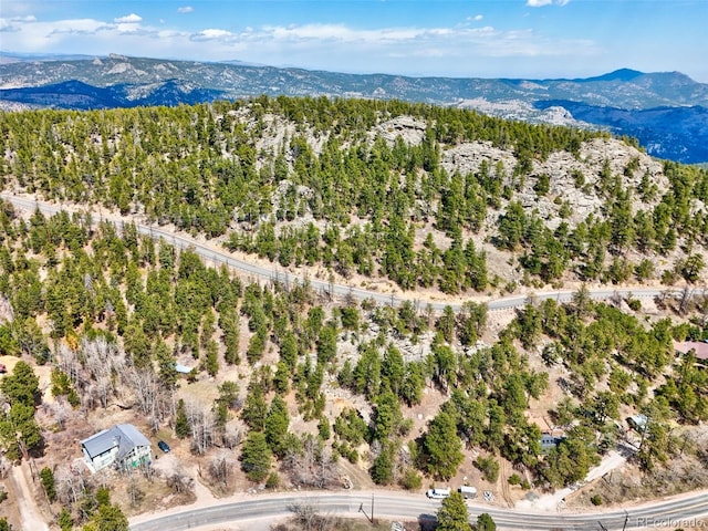 388 Copperdale Ln, Golden, CO 80403 - photo 40