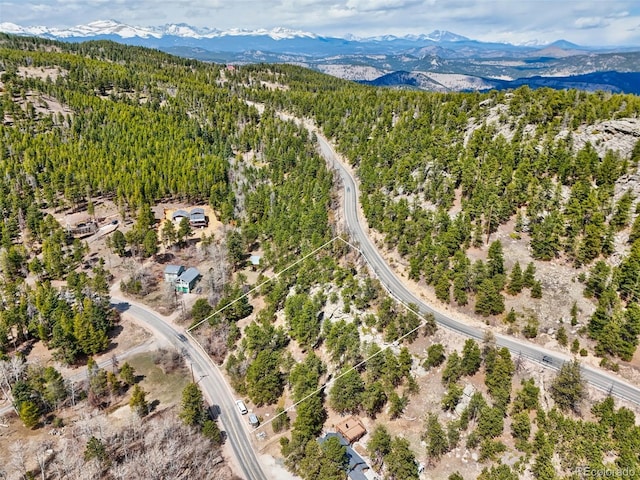 388 Copperdale Ln, Golden, CO 80403 - photo 41