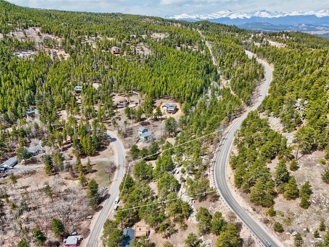 388 Copperdale Ln, Golden, CO 80403 - photo 43
