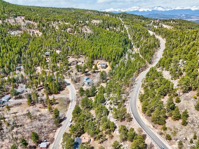 388 Copperdale Ln, Golden, CO 80403 - photo 44