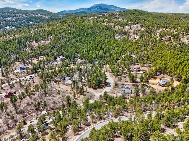 388 Copperdale Ln, Golden, CO 80403 - photo 45