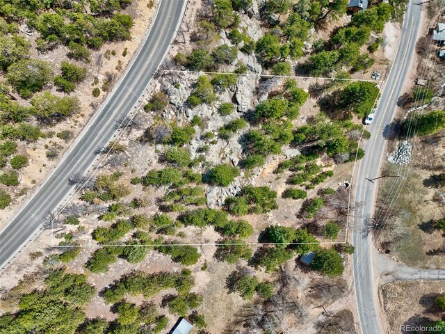 388 Copperdale Ln, Golden, CO 80403 - photo 48