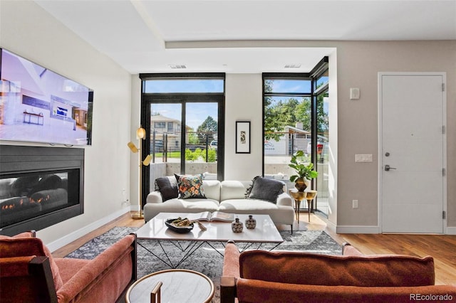 living room featuring light hardwood / wood-style floors