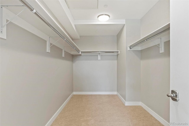 walk in closet featuring light carpet