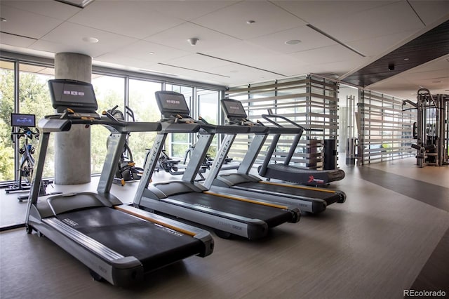 gym with floor to ceiling windows