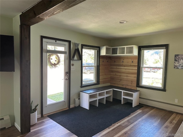 mudroom with a baseboard heating unit, a textured ceiling, dark hardwood / wood-style floors, and a healthy amount of sunlight