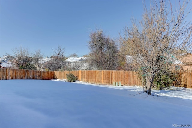 view of yard covered in snow