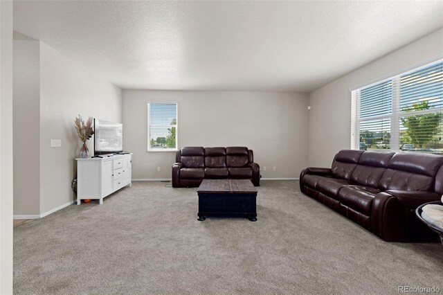 603 Jewel St, Brighton, CO 80603 - photo 14