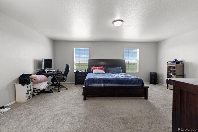603 Jewel St, Brighton, CO 80603 - photo 16