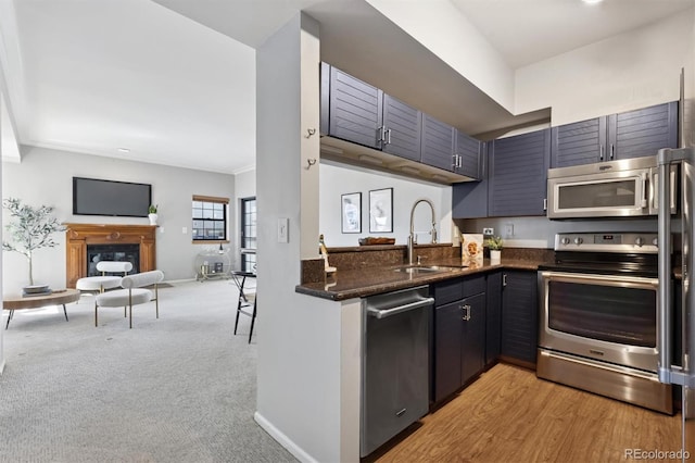 kitchen featuring a fireplace, a sink, appliances with stainless steel finishes, light carpet, and open floor plan