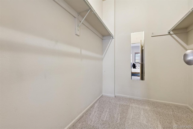 spacious closet featuring carpet floors