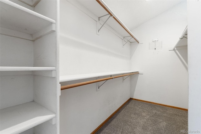 17018 Carr Ave, Parker, CO 80134 - photo 27