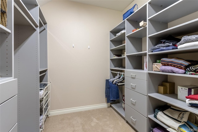 7081 Salvia St, Arvada, CO 80007 - photo 20