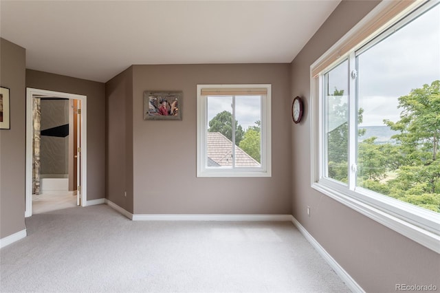 7081 Salvia St, Arvada, CO 80007 - photo 33