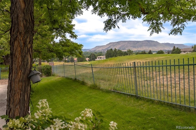 7081 Salvia St, Arvada, CO 80007 - photo 47