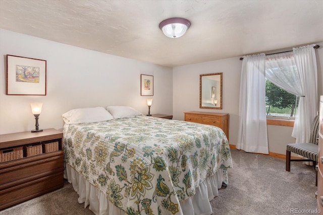 225 Shavano St, Poncha Springs, CO 81242 - carpeted bedroom featuring baseboards