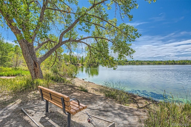 4274 S Salida Way Unit 11, Aurora, CO 80013 - view of water feature