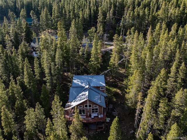 302 Texas Dr, Idaho Springs, CO 80452 - view of subject property featuring a heavily wooded area