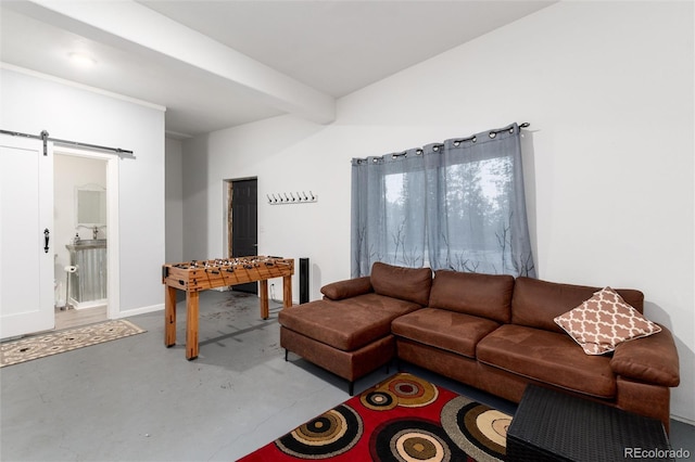 302 Texas Dr, Idaho Springs, CO 80452 - living area with concrete floors and a barn door