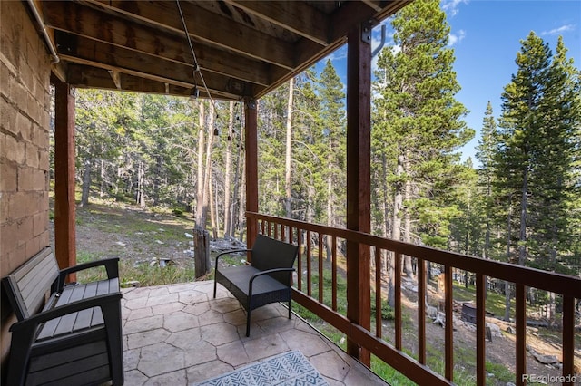 302 Texas Dr, Idaho Springs, CO 80452 - view of patio / terrace