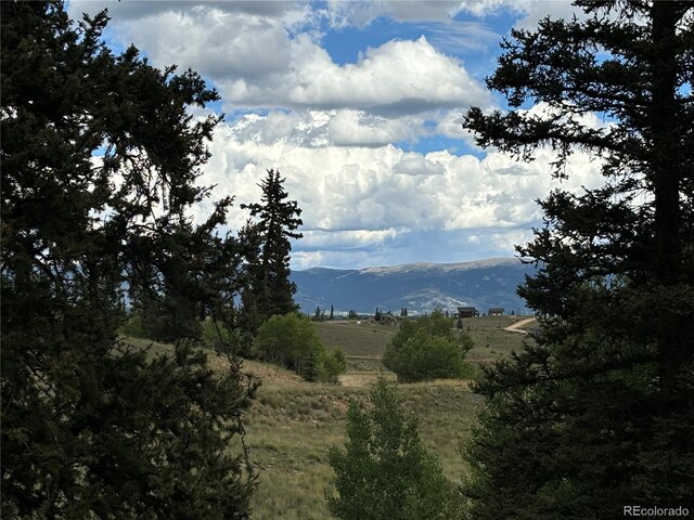 475 War Ln, Como, CO 80432 - photo 6