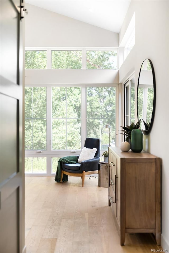 5070 Easley Rd, Golden, CO 80403 - living area featuring light wood-type flooring and high vaulted ceiling