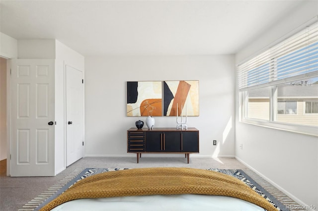 8975 Field St Unit 39, Broomfield, CO 80021 - bedroom with carpet and baseboards