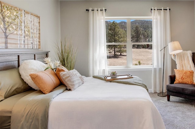 bedroom featuring multiple windows and carpet flooring