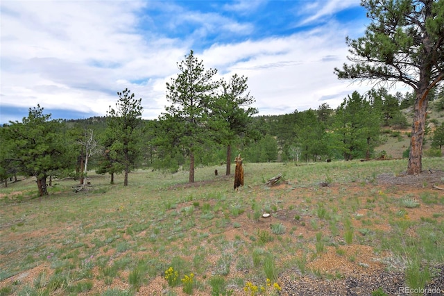 view of local wilderness with a rural view