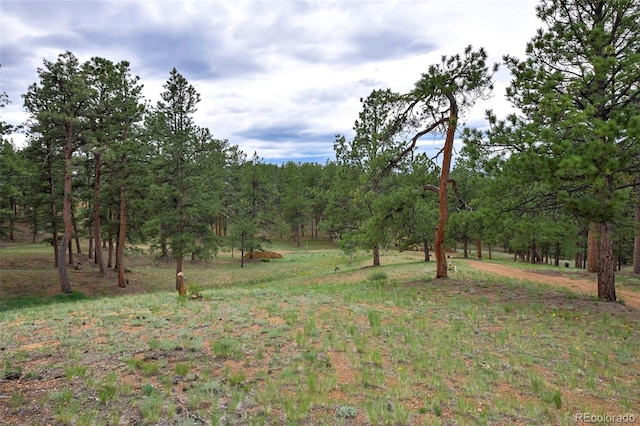 view of local wilderness